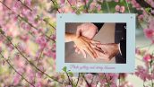 Preview Photo Gallery And Cherry Blossoms 4698711