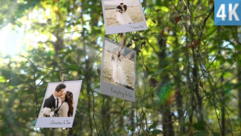 Preview Photo Memories on Trees 19338045
