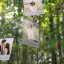 Preview Photo Memories On Trees 19338045