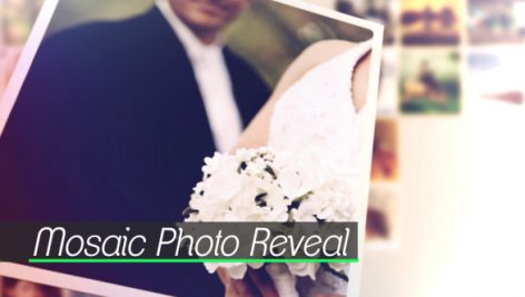 Preview Photo Reveal 11419150