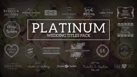 Preview Platinum Wedding Titles Pack 17285978
