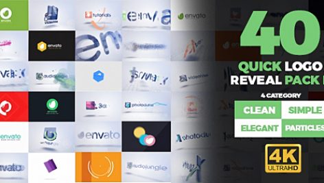 Preview Quick Logo Reveal Pack 2 19483447
