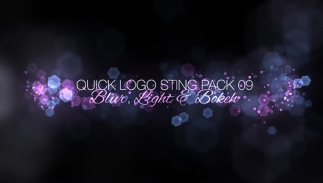 Preview Quick Logo Sting Pack 09 Blur Light Bokeh 12751694