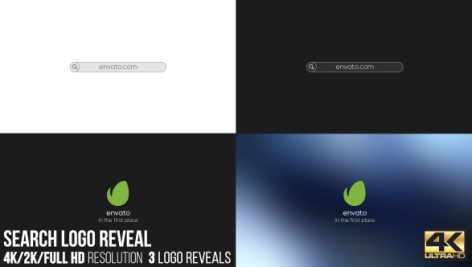 Preview Search Logo Reveal 16757728