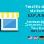 Preview Small Business Marketing Explainer 19535919