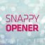 Preview Snappy Opener 18638272