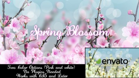 Preview Spring Blossom 7133339