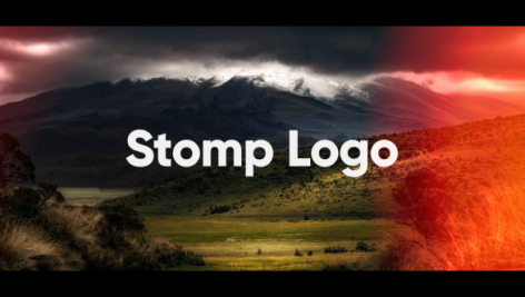 Preview Stomp Logo 20161594