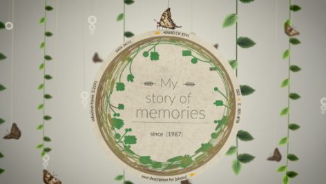 Preview Story Of Memories 11093896
