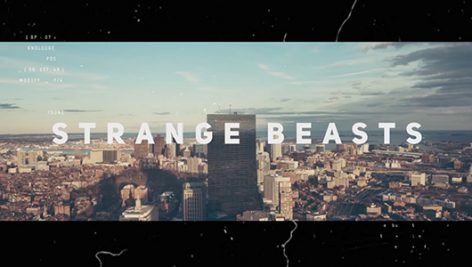 Preview Strange Beasts 19774266
