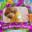 Preview The Balloon Party