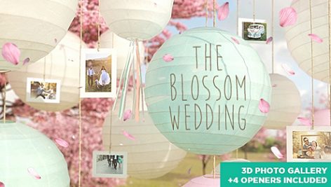 Preview The Blossom Wedding Photo Gallery Slideshow 14669458