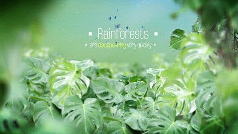 Preview The Rainforests Titles 10520395