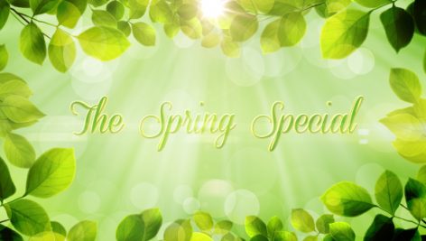 Preview The Spring Special Promo Pack