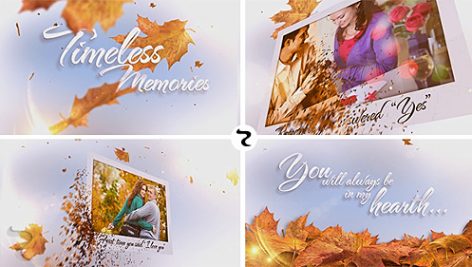 Preview Timeless Memories