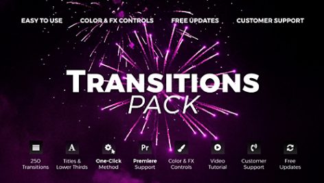 Preview Transitions V4 20139771