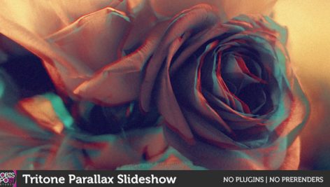 Preview Tritone Parallax Slideshow 17950241