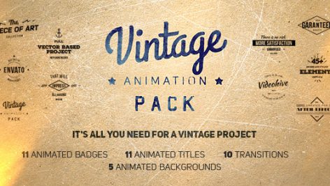 Preview Vintage Animation Pack 10050370