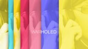 Preview Warholed