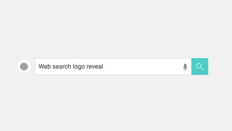 Preview Web Search Logo Reveal 13344914