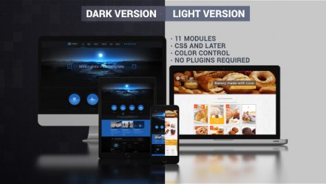 Preview Website Presentation Dark Light 9725975