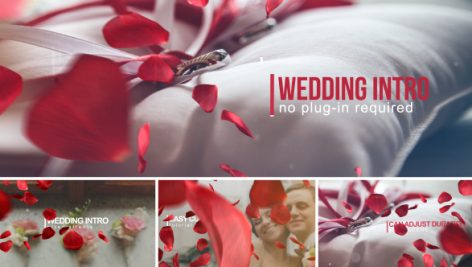 Preview Wedding Intro 14584906