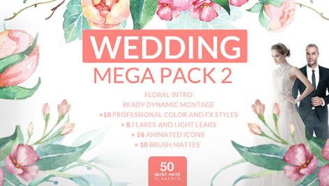 Preview Wedding Mega Pack 2 12701122
