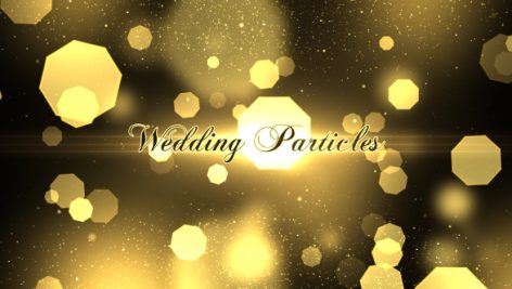 Preview Wedding Particles Opener 14728826