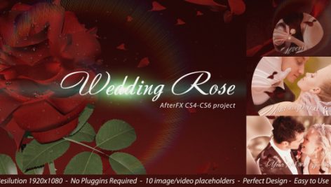 Preview Wedding Rose