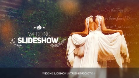 Preview Wedding Slideshow 17880999