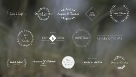 Preview Wedding Titles 18849528