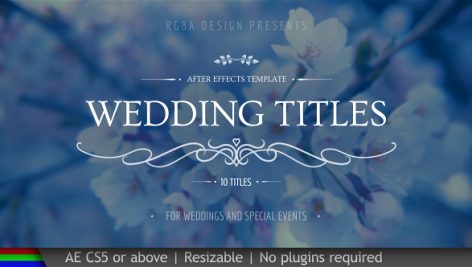 Preview Wedding Titles 20439562