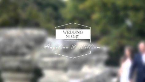 Preview Wedding Titles Vol. 04