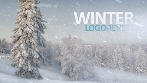 Preview Winter Logo Reveal 14164275