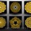 Set Of Gold Mandala Indian Floral Medallion 2