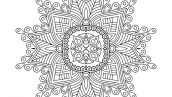 Vector Mandala Background