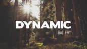 Preview Dynamic Gallery 10470167