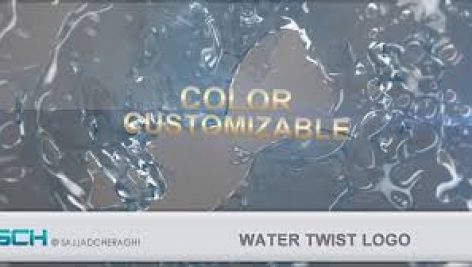 Preview Water Twist Logo