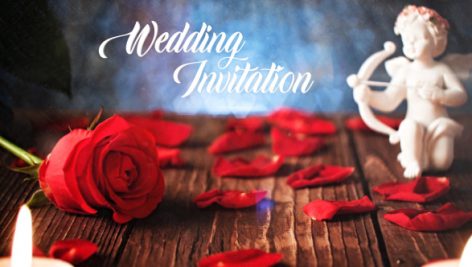 Preview Wedding Invitation 108502