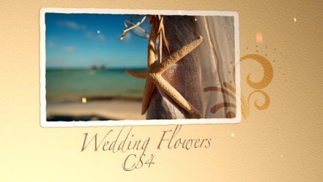 Preview Wedding Flowers Cs4 309125