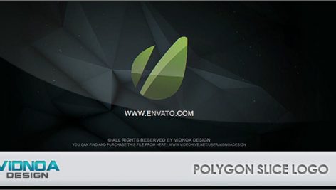 Preview Polygon Slice Logo