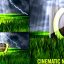 Preview Nature Logo Cinematic 9207208