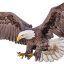 Freepik Bald Eagle Flying Swoop Hand Draw And Paint Color On White