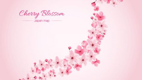 Freepik Cherry Blossom 2
