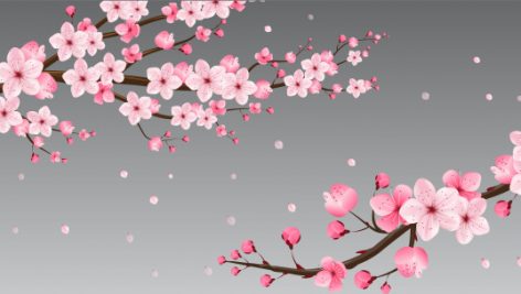 Freepik Cherry Blossom
