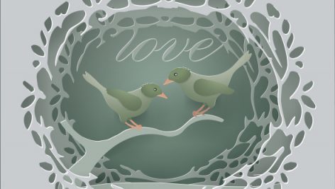 Freepik Illustrations Of Love With Birds Couple On Branch In Gray Background