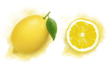Freepik Lemon Watercolor