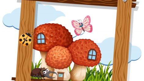 Freepik Mushroom And Insect On Wooden Frame