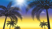 Freepik Shiny Summer Background With Palm Tree Silhouettes