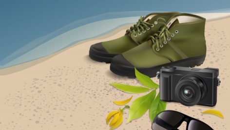 Freepik Sunglasses Shoe Camera With Flower And Leaf On The Beach